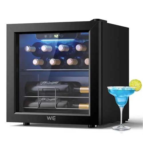 Mini Wine Fridge